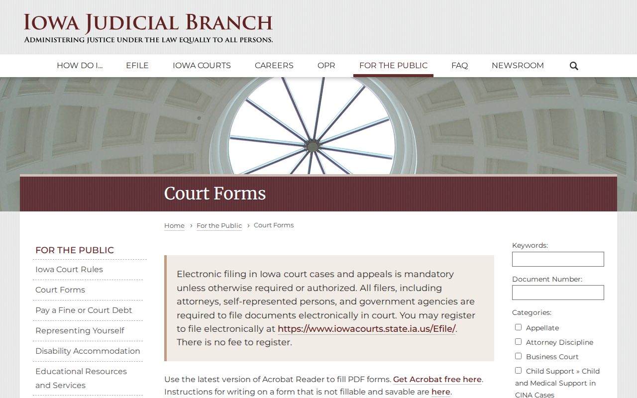 Iowa court forms for Polk County criminal court cases